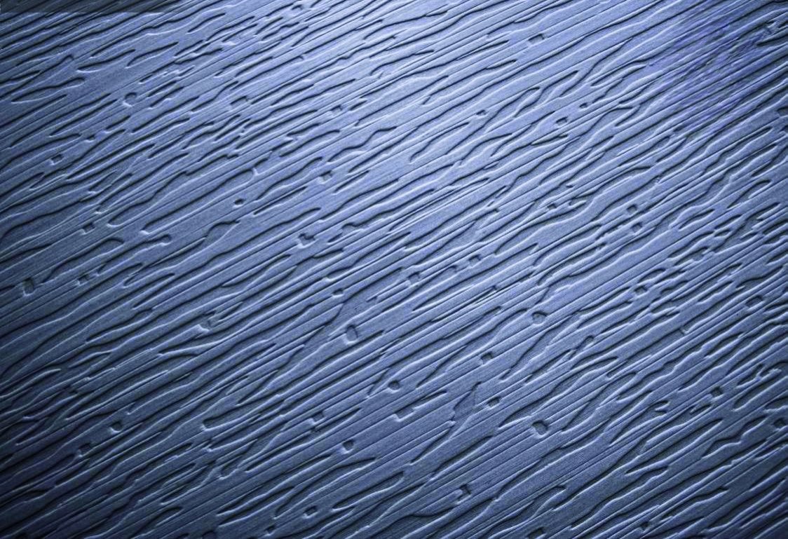 Premium Veneers used in a completed Kolkata interior project by PROVO — example 6
