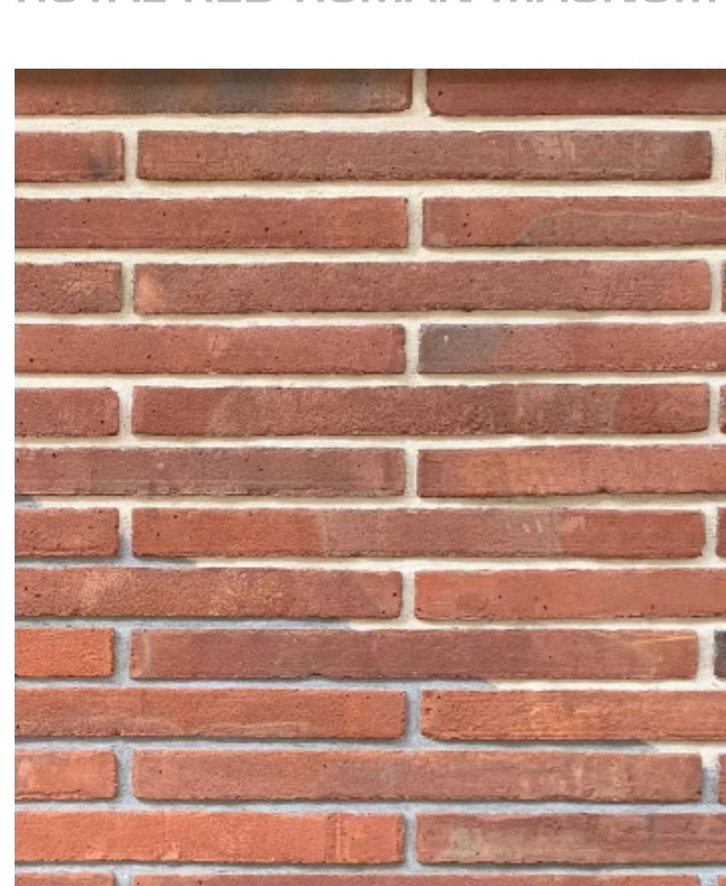 Decorative Bricks & Façade used in a completed Kolkata interior project by PROVO — example 6
